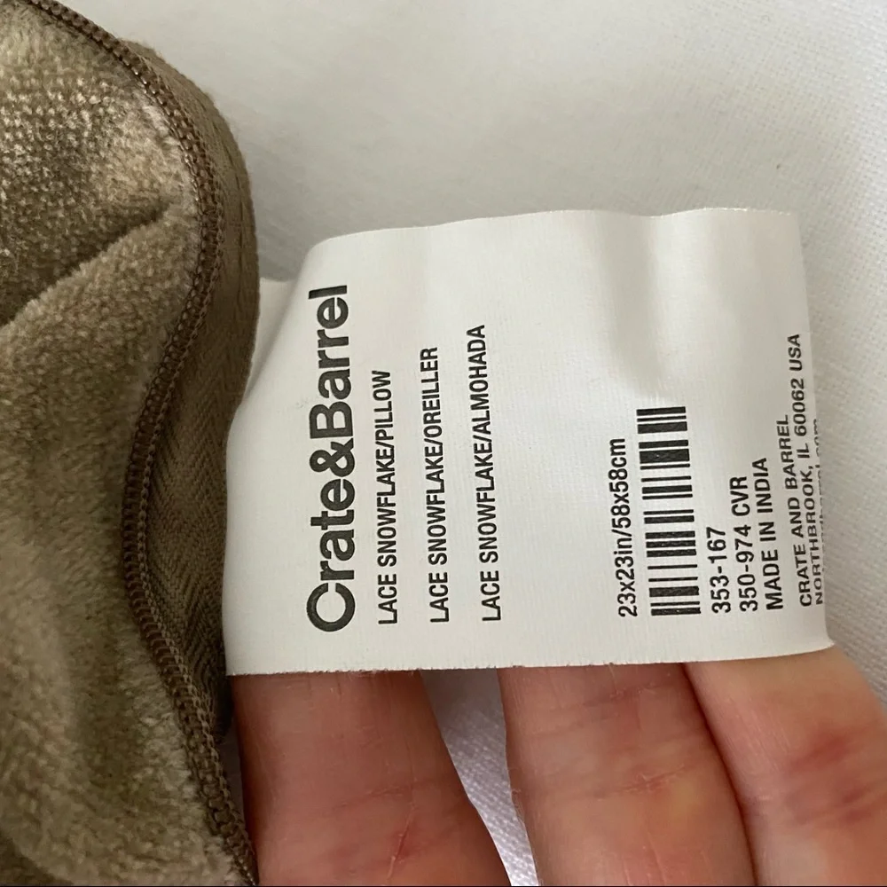 Crate&Barrel Embroidered velvet pillow sham